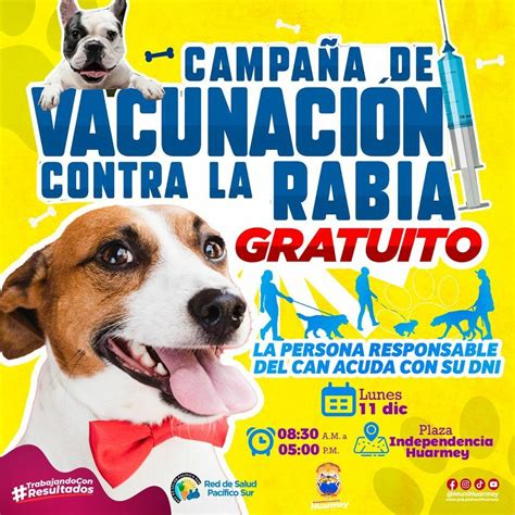 Gran Campaña Gratuita De Vacunación Canina Contra La Rabia En Huarmey Campañas Municipalidad