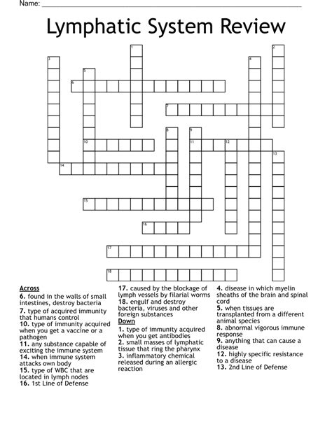 The Lymphatic System And Body Defenses Crossword Puzzle Answers