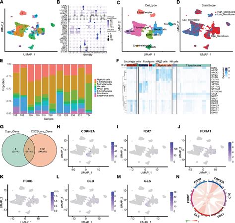 Figure From Identification And Validation Of A Novel Cuproptosis