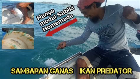 Mancing Ikan Predator Laut Dengan Umpan Sabiki Homemade Youtube