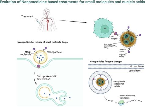 Evolution Of Nanomedicine Formulations For Targeted Delivery And Controlled Release Pharma