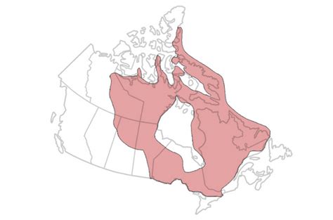 The Canadian Shield Our Planet Today