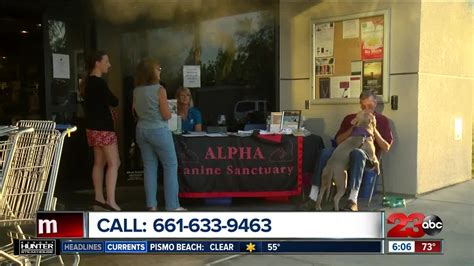 Alpha Canine Sanctuary Holding Its Fun And Fundraising Event