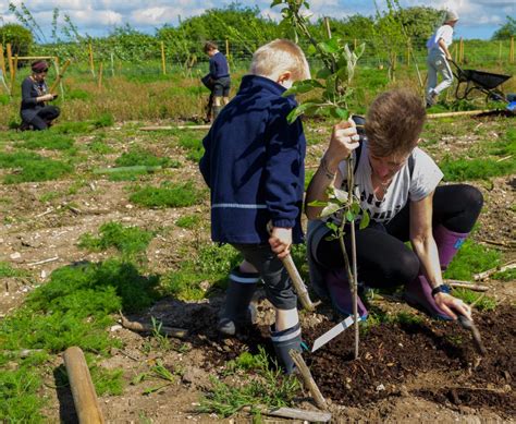 Planting And Nurturing Trees Race