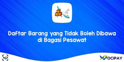 13 Daftar Barang Yang Tidak Boleh Dibawa Di Bagasi Pesawat