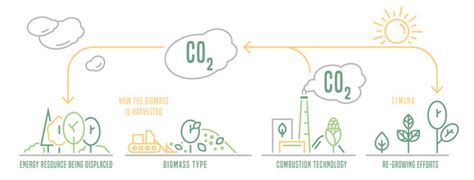 Biomass Energy Landscape Poster With Useful Vector Image