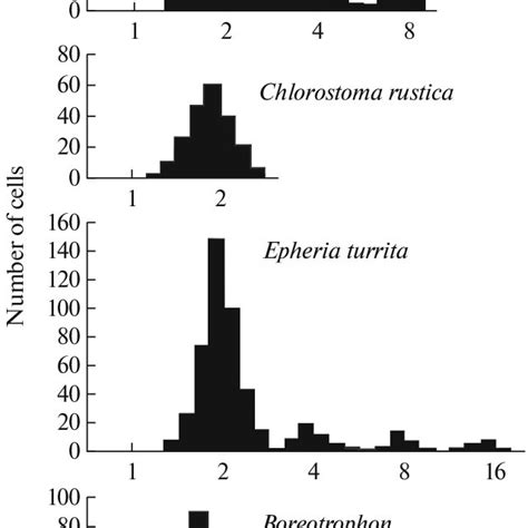 Distribution Of The Cell Nuclei By The Levels Of Ploidy DNA Content In