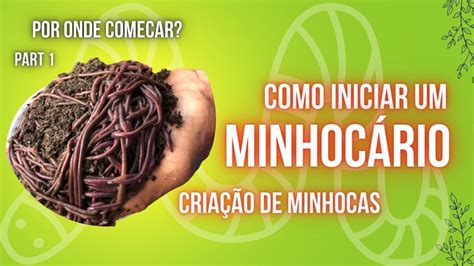 Como Iniciar uma Criação de Minhocas Minhocario Primeiros Passos