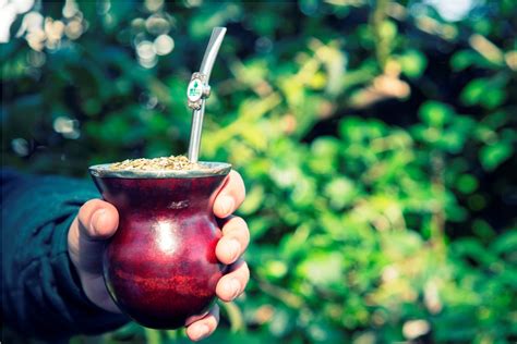 en el mate estamos todos todo esta en el mate misionesonline