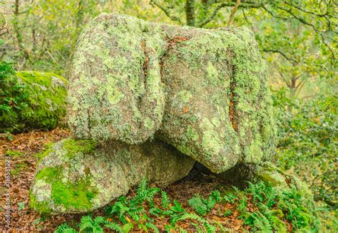 Rocher en forme de poing dans la forêt de Moëlan sur Mer en Bretagne