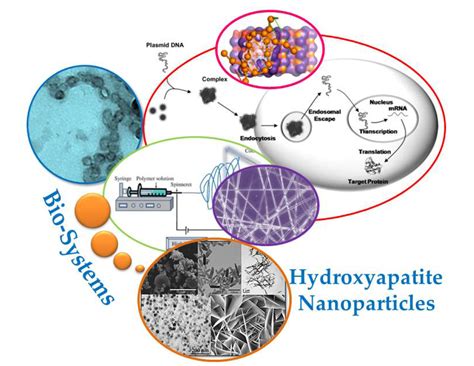 Applied Sciences Free Full Text Biodegradable And Biocompatible Systems Based On