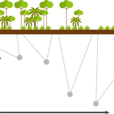 Cacao farming systems and potential economic and environmental... | Download Scientific Diagram