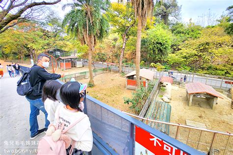 高雄壽山動物園｜全新天空步道、觀察廊道、小火車，獼猴陪吃體驗太難忘 兔兒毛毛姊妹花