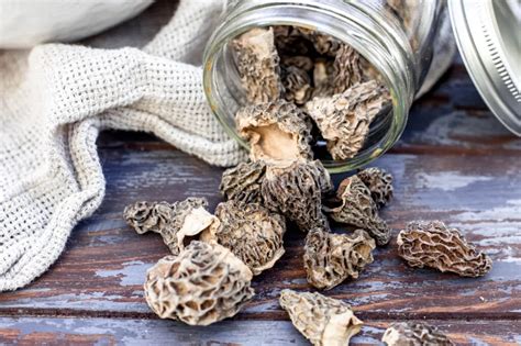 How to cook morel mushrooms - How To Cook
