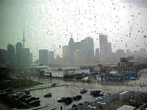 Toronto City Life » Midweek moist