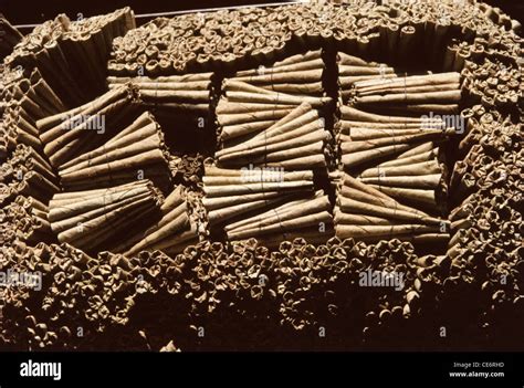 Beedies hi-res stock photography and images - Alamy