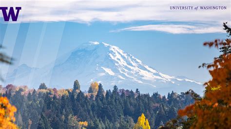 Download Mt Rainier View At University Of Washington Wallpaper