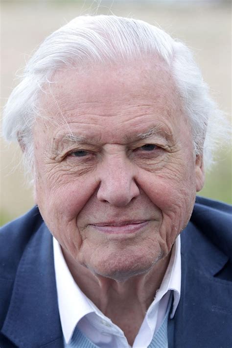 Дэвид Аттенборо (David Attenborough) - Фильмы и сериалы