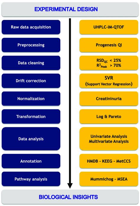 Illustration Of The Untargeted Metabolomics Workflow Spanning From