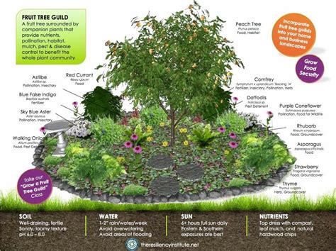 20 Forest Garden Layers Ideas For This Year Sharonsable