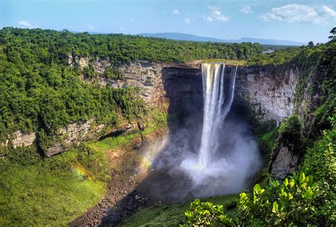 Where the wild things are: tracking Guyana’s iconic wildlife - Lonely Planet