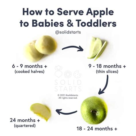 Can Babies Eat Apples Solid Starts Baby Led Weaning First Foods