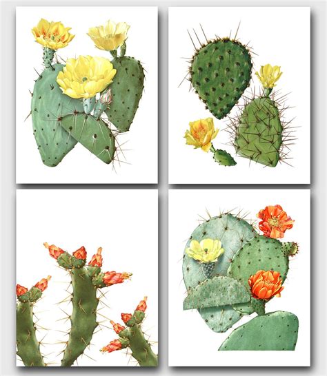 Amazon Set Of 4 Cactus Prints Botanical Succulent Art 8 X 10