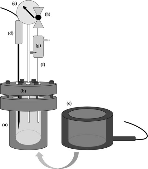 Scheme of the reactor employed in the HDO and HIS tests: (a) reactor ...