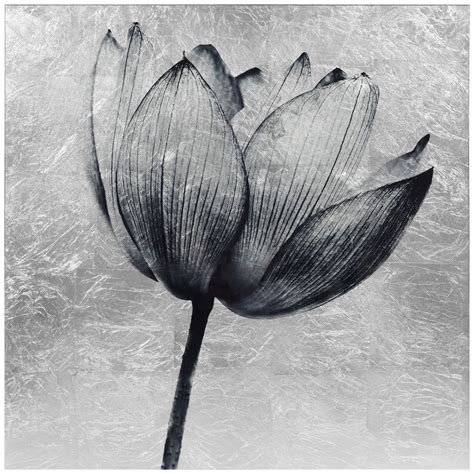 Lotus Flower Wall Art - Decor For You