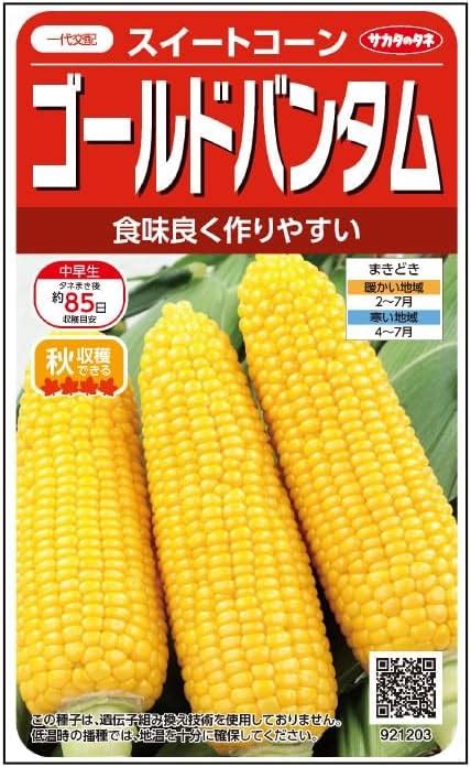 Amazon サカタのタネ 実咲野菜 トウモロコシ ゴールドバンタム 野菜