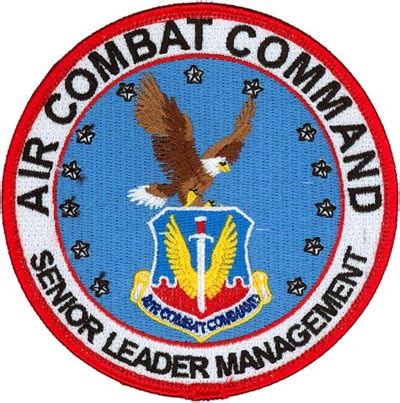 AIR COMBAT COMMAND – SENIOR LEADER MANAGEMENT | Flightline Insignia