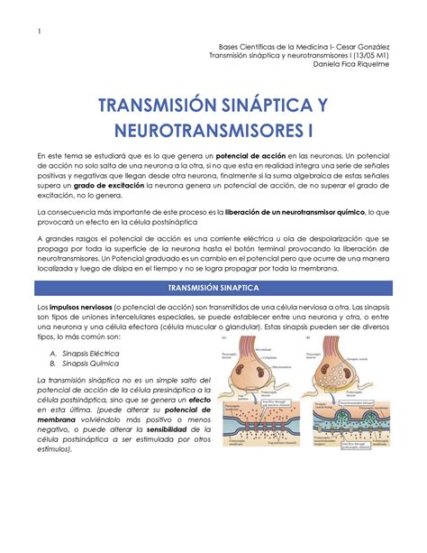 Transmisi N Sin Ptica I Bases Cient Ficas De La Medicina I Cesar