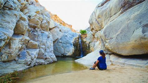 Guadalupe Canyon A Treasure In The Middle Of The Desert Baja