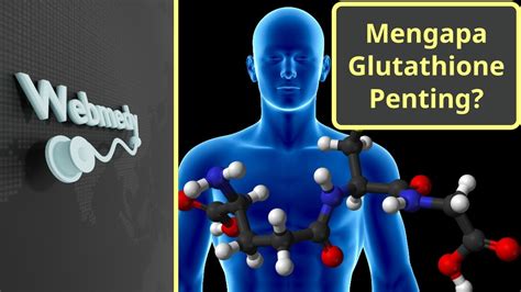 Mengapa Glutathione Penting Antioksidan Utama Tubuh Youtube