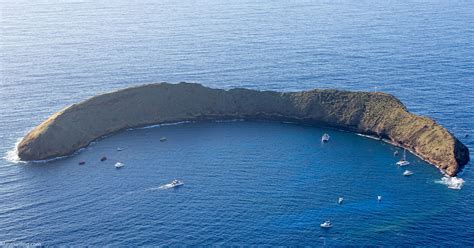 Molokini Snorkeling Tours: The Facts - Maui Sailing