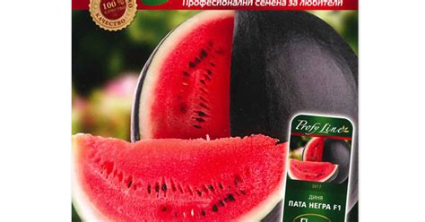 Дини Пата Негра (Pata Negra)