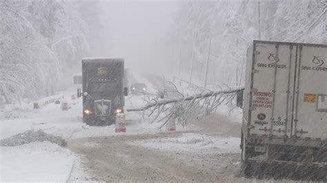 Power Outages Road Closures And Fallen Trees After Snowstorm