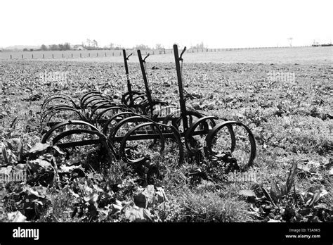 Herramientas Agrícolas Antiguas En Blanco Y Negro Fotografía De Stock