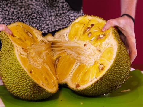 Ben B Seattle Plant Collector Jack Fruit Grown From Seed