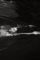 Beyonce Does An Epic Bikini Photo Shoot For Flaunt Magazine
