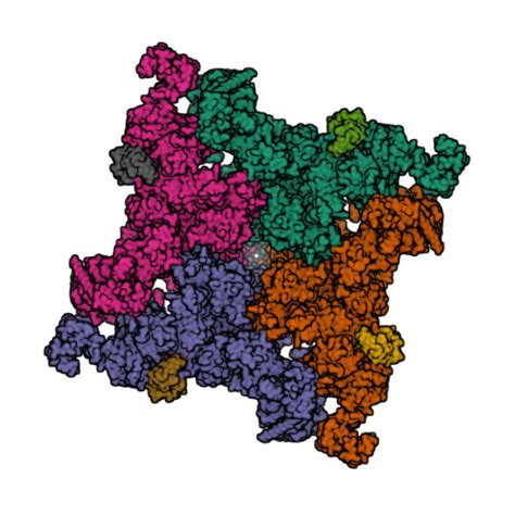 Rcsb Pdb Homepage