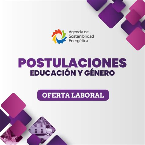 AgenciaSE Abre Postulaciones Al Cargo De Profesional De Apoyo Con