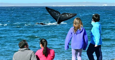 Una Playa Argentina Fue Elegida Entre Las Mejores Del Mundo Sin