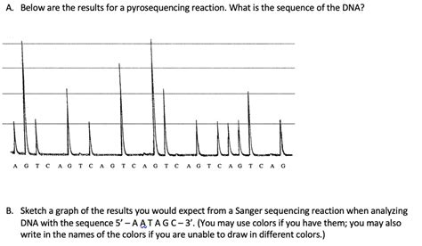 Solved Below Are The Results For A Pyrosequencing Reaction What Is