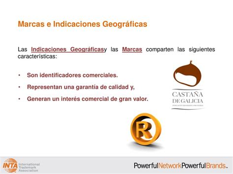 PPT INDICACIONES GEOGRÁFICAS Posición de la INTA PowerPoint