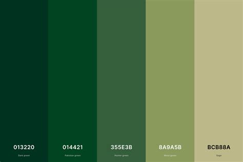 17 Hunter Green Color Palette Color Palette With Dark Green Hex