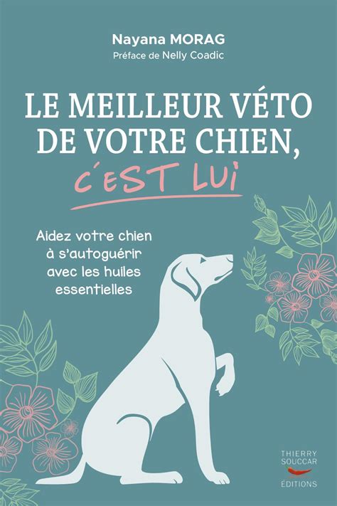 Calam O Le Meilleur V To De Votre Chien C Est Lui