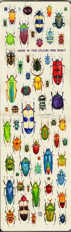 29 Rosalind Monks Insects Ideas Insect Art Bug Art Insects