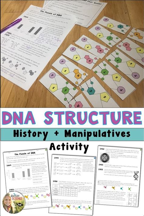 Activity On The Discovery Of Dna