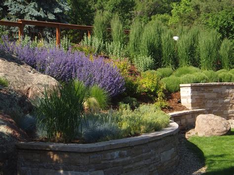 Professional Xeriscaping Tips Landscaping Network